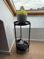 Pflanzen Regal 25cm Schwarz Hannover - Bothfeld-Vahrenheide Vorschau