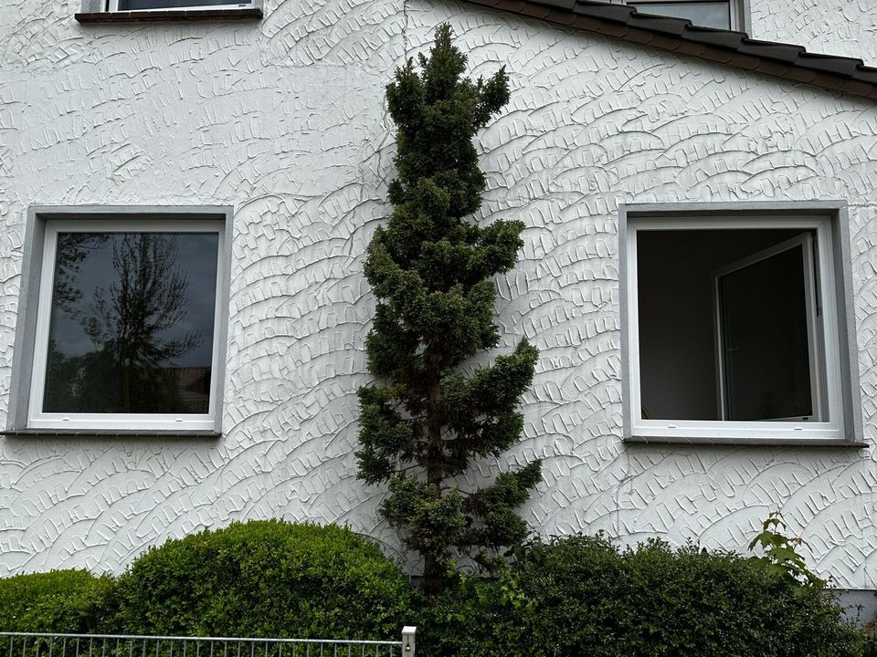 Fenster,Rolladen,Montage,Garagentore,Markisen,Haustüren,Türen in Northeim