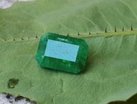 Natural Emerald.. Hessen - Fulda Vorschau