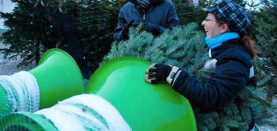 Christbaumverkäufer m/w/d Weihnachten Freising Neufahrn Eching in Freising