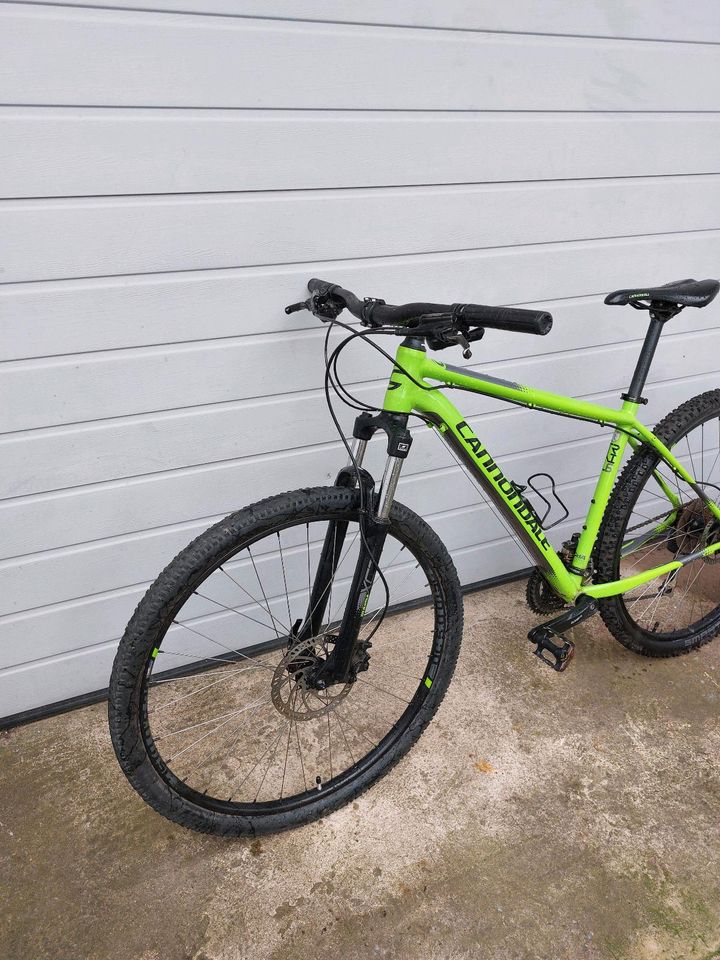 Cannondale Trail 7  29 Zoll in Wittlich