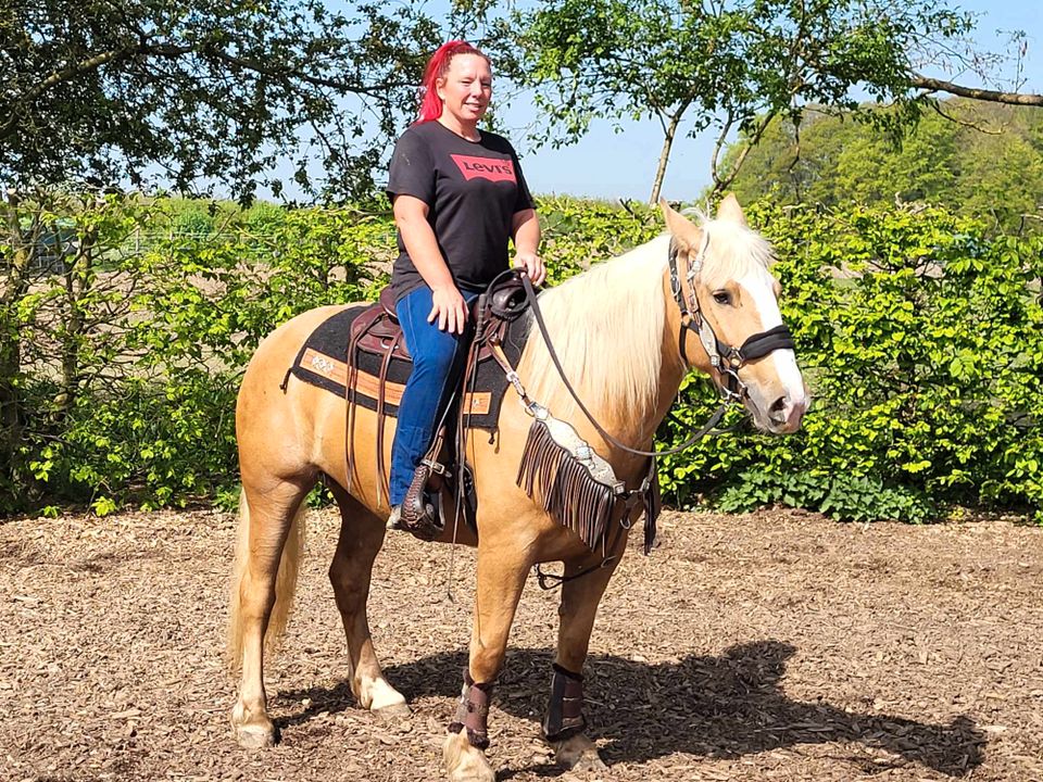 Palomino-Stute-Freizeitpferd in Urbach Westerw