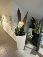 Lechuza Pflanzkübel - Weiß Hochglanz - Mit Kunststoff-Orchideenpflanze Leipzig - Leipzig, Zentrum Vorschau