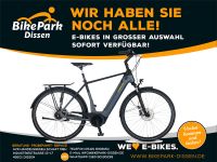 Kreidler Elektro-Fahrrad 28" Eco8 Bosch Performance i625Wh 5-Gang Niedersachsen - Dissen am Teutoburger Wald Vorschau