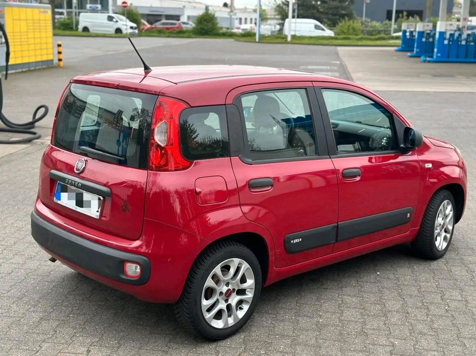 Autovermietung- Fiat Panda+Auto Mieten-Ab 699 pro monat in Krefeld