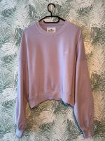 Hollister Sweatshirt Pulli Größe XS Pullover Hoodie Nordrhein-Westfalen - Bad Salzuflen Vorschau