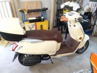 50 ccm Roller  KYMCO Nordrhein-Westfalen - Gelsenkirchen Vorschau