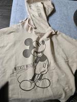 Disney Pulli Niedersachsen - Leezdorf Vorschau