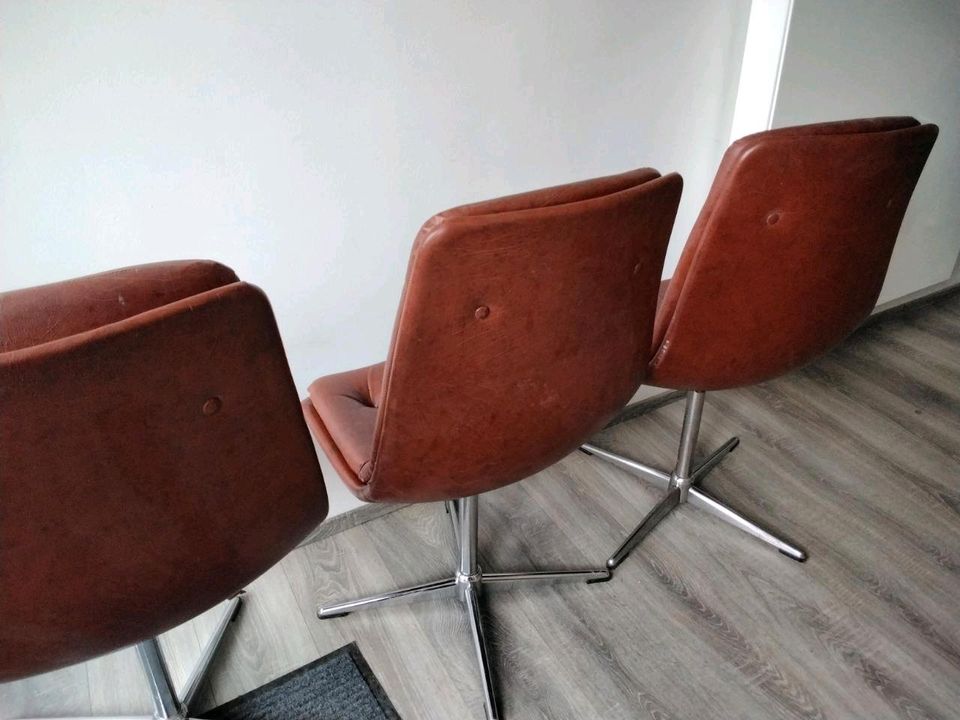 Leder Stühle Sessel in Poppenhausen