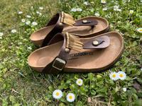 Birkenstock Gizeh Graceful Toffee Gold braun Gr.37 Boho ❤️ NEU Rheinland-Pfalz - Bad Dürkheim Vorschau