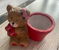 Teddy Blumen Topf Essen - Essen-Ruhrhalbinsel Vorschau