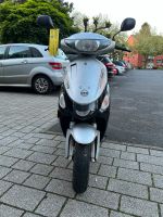 Rex 450 RS 50ccm Hessen - Gießen Vorschau