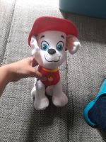 Paw patrol kuscheltier Marshall Niedersachsen - Bad Münder am Deister Vorschau