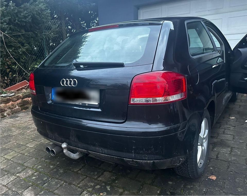 Audi A3 8P in Schmalenberg