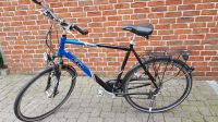 Herrenfahrrad / Trecking Bike KTM Cento 28 Zoll Nordrhein-Westfalen - Mettmann Vorschau