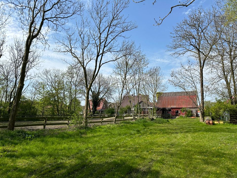 Resthof mit Einliegerwohnung, Reitplatz und viel Weidefläche zu verkaufen in Ihlienworth