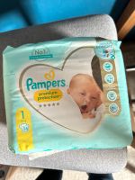 Pampers Größe 1 Hessen - Staufenberg Vorschau