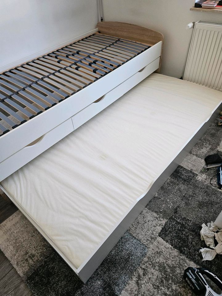 Kinderzimmer Bett mit Schubladen/ Doppelbetten in Rheine
