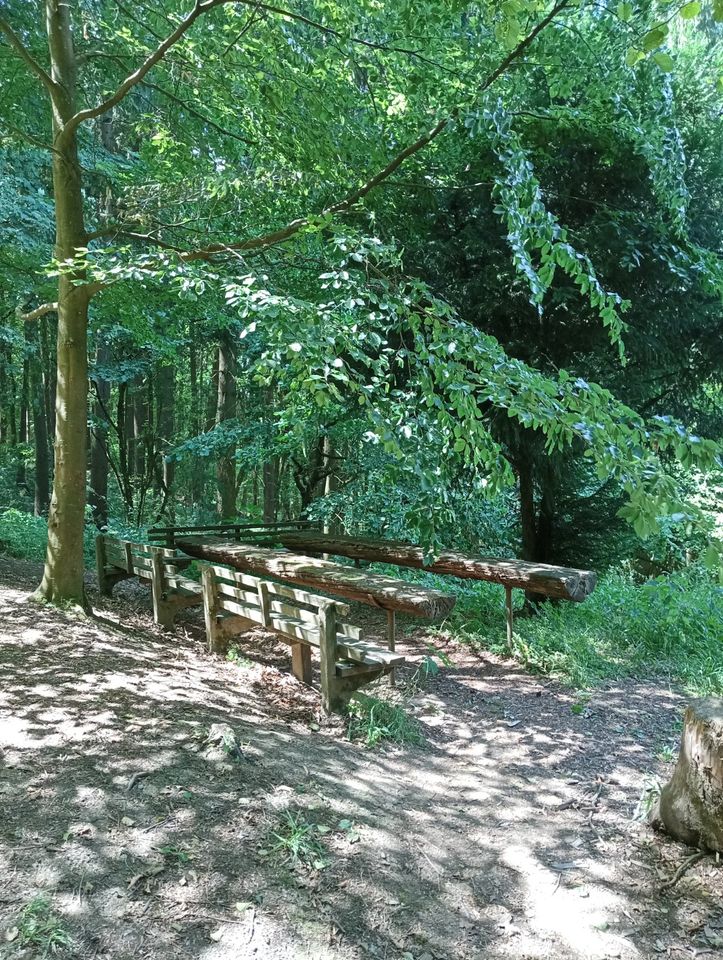 Jagdhütte, einsam, abgelegen Hütte, absolute Alleinlage im Wald in Oechsen