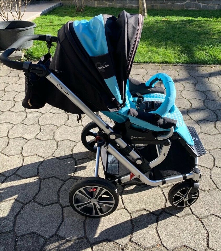 Gesslein F6 Air+ Kinderwagen in Berg