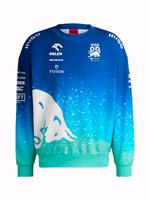 SUCHE Visa Cash App RB Glitter Hoodie Las Vegas 2023 livery Nordrhein-Westfalen - Niederkassel Vorschau