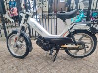 Tomos moped Nordrhein-Westfalen - Selfkant Vorschau
