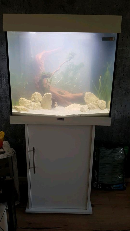 Aquarium Juwel Lido 200 mit Unterschrank in Gevelsberg