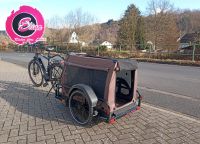 Elina´s Fahrwerk "4-PT Camion", Fahrrad-Hundeanhänger, Hundebox Rheinland-Pfalz - Kirchen (Sieg) Vorschau