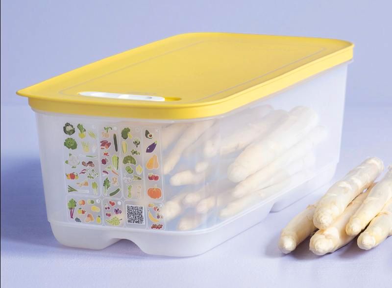 Tupperware * Klima Oase 6,1  L Neu KlimaOase Spargel Obst Gemüse in Pattensen