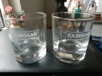 6 Stück Irish Whiskey Gläser Niedersachsen - Hemmingen Vorschau