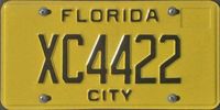 Suche Florida City US Kennzeichen Police USA License Plate Nordrhein-Westfalen - Schwerte Vorschau