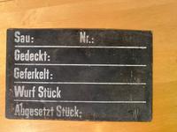 Schild Sau Stall Zucht ddr lpg 40*25cm rar selten Brandenburg - Bad Freienwalde Vorschau