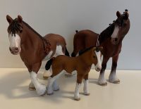 **TOP** Clydesdale Schleich Pferde Familie Brandenburg - Kleinmachnow Vorschau