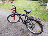 Pegasus Fahrrad 28 Zoll Niedersachsen - Handorf Vorschau