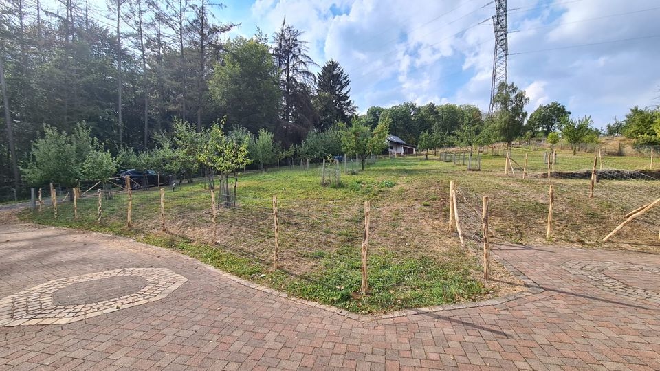 - Gartenpflege - Hecke schneiden, Rasen mähen, Baumfällung in Wipperfürth