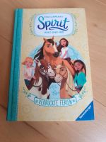 Spirit Buch Freunde für immer/Verrückte Ferien sehr gut erhalten Baden-Württemberg - Denzlingen Vorschau