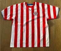 Puma Paraguay Fußball Herren Trikot XXL rot weiß Baden-Württemberg - Brackenheim Vorschau