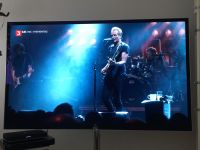 Fernseher Loewe Reference 75 Zoll Hannover - Mitte Vorschau