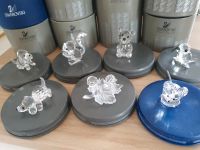 Swarovski Swarowski Silver Crystal Glasfiguren Tier Sammlung OVP Bayern - Eichenau Vorschau