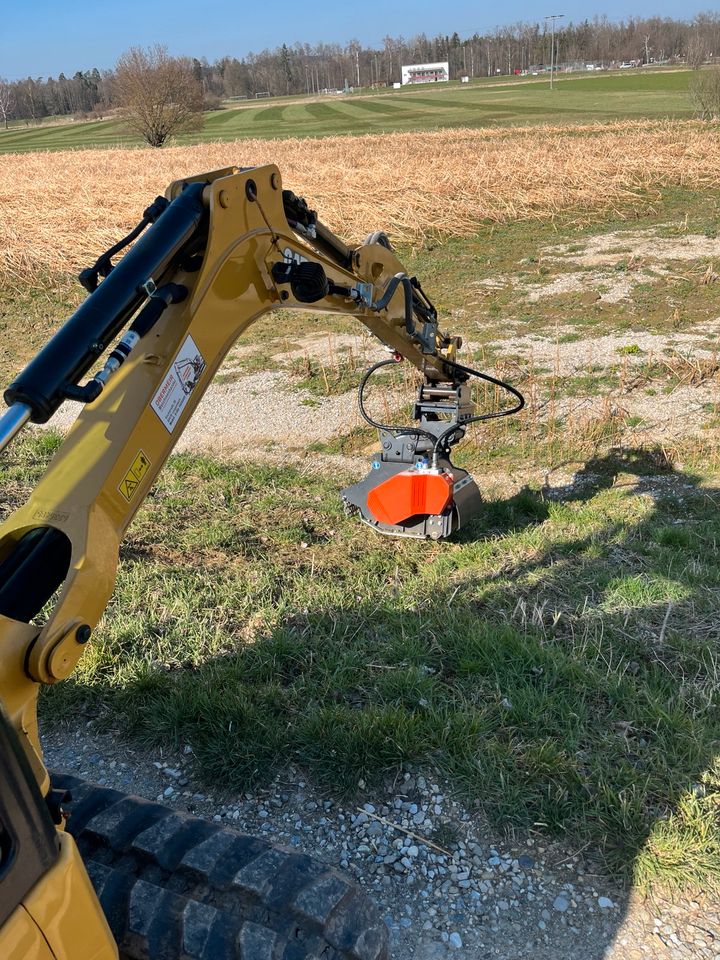 2t Vermietung CAT 301.8 mit Mulcher Minibagger Miete in Langenbach