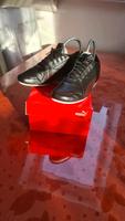 Sneakers Puma Ferrari Rheinland-Pfalz - Plaidt Vorschau