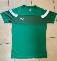 Trikot Puma grün Gr.44/ M Niedersachsen - Drochtersen Vorschau