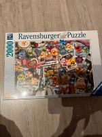 Gelini Puzzle 2000 Teile neu und ovp Rheinland-Pfalz - Ludwigshafen Vorschau