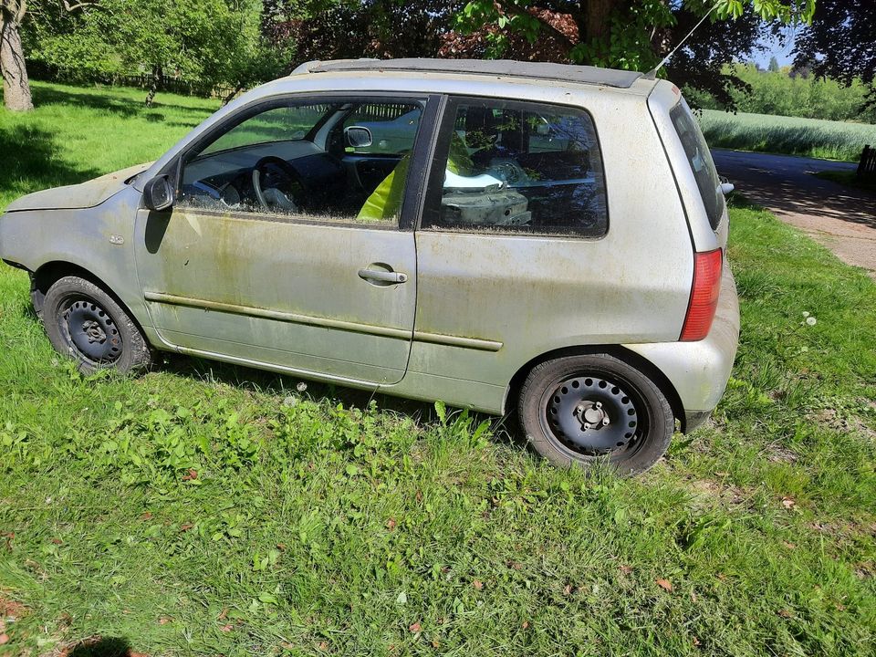 VW Lupo 1,0 Oxford mit Faltdach in Vlotho