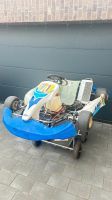 Rennkart AMV Chassis // Iame X30 Motor 125cmm Niedersachsen - Hambühren Vorschau