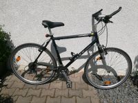 Gebrauchtes Herrenfahrrad Rahmengröße 56 cm von ALEX competition Bochum - Bochum-Südwest Vorschau