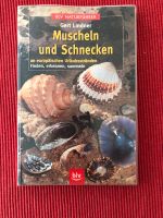 BLV Naturführer Muscheln und Schnecken Baden-Württemberg - Weinstadt Vorschau