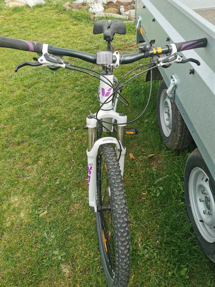 Giant Fahrrad in Blankenburg (Harz)