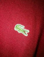 Lacoste Pullover Rot Gr. L Berlin - Charlottenburg Vorschau