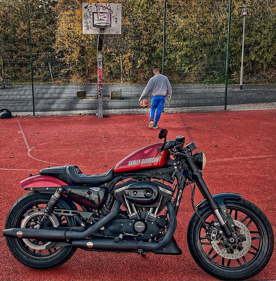 Harley Davidson | Sportster | Roadster | XL1200CX in Hanau